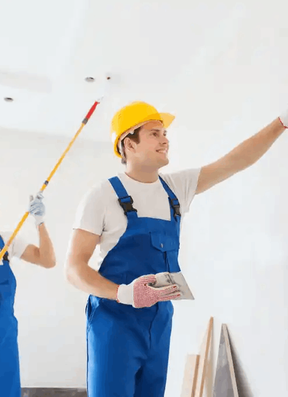 Professional Painters